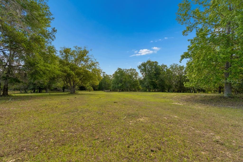 31501 REED RD, DADE CITY, FL — photo 27