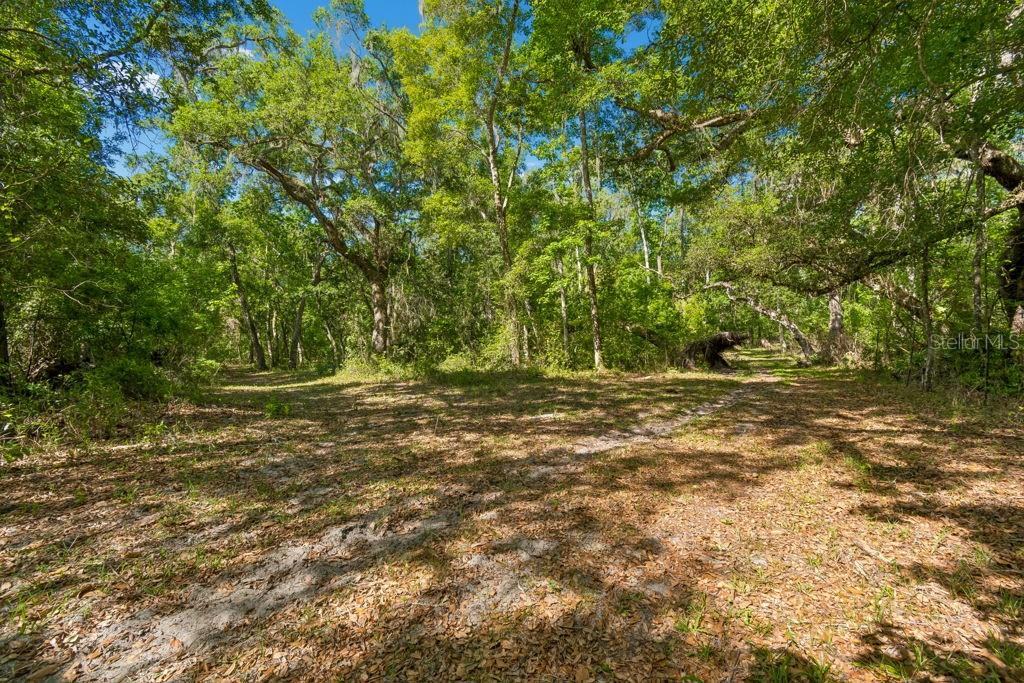 31501 REED RD, DADE CITY, FL — photo 30