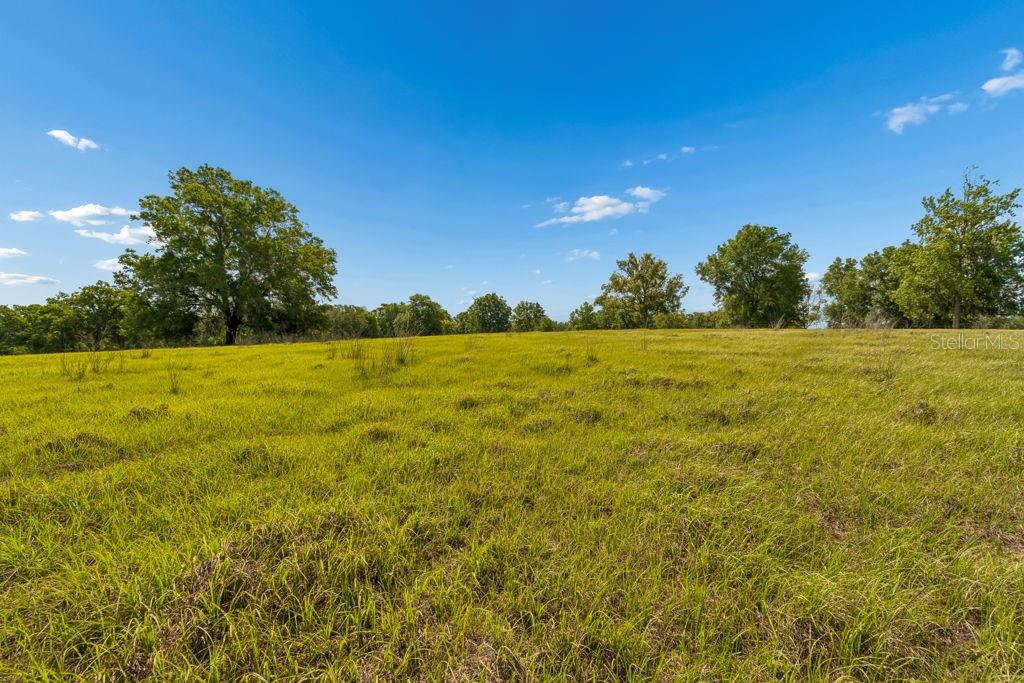 31501 REED RD, DADE CITY, FL — photo 33