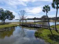 9221 HARRIS HAWK DR — photo 55