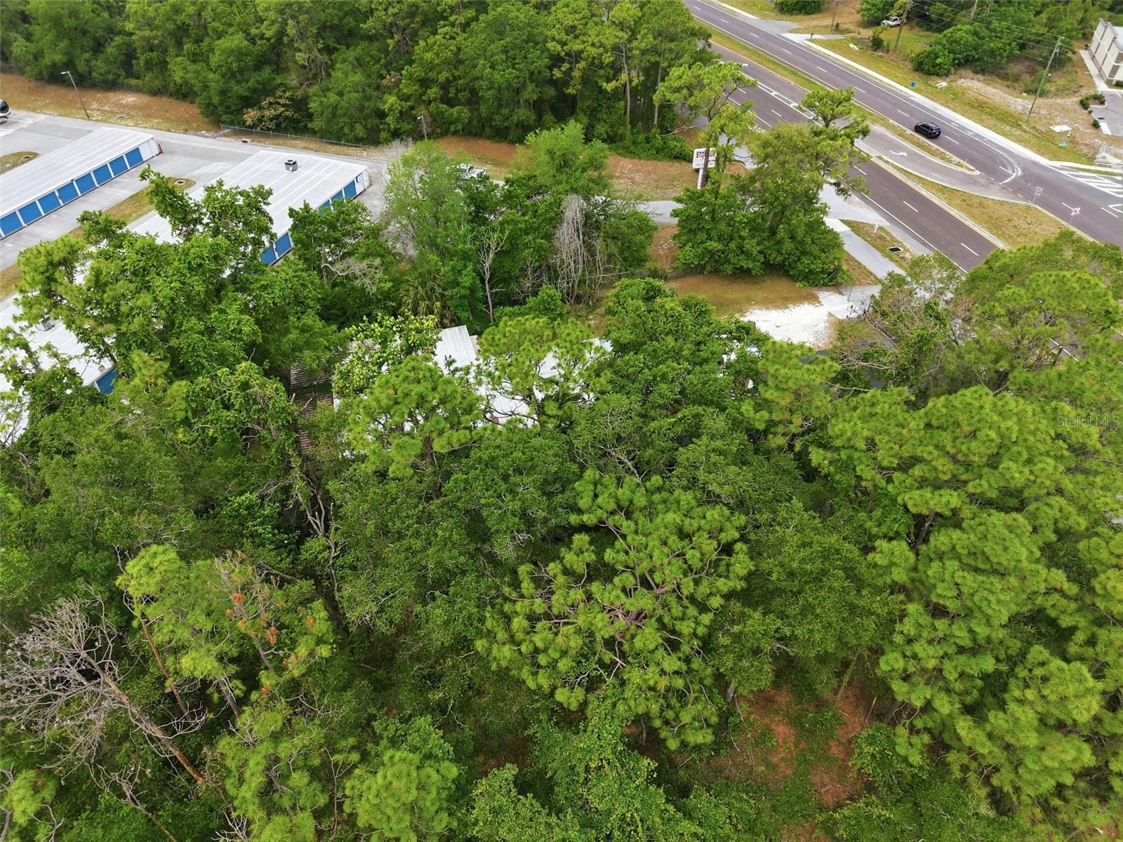 15520 CORTEZ BLVD, BROOKSVILLE, FL — photo 33