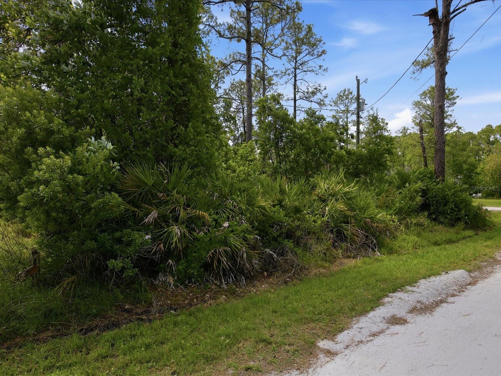 1340 EAST PKWY, DELAND, FL — photo 6