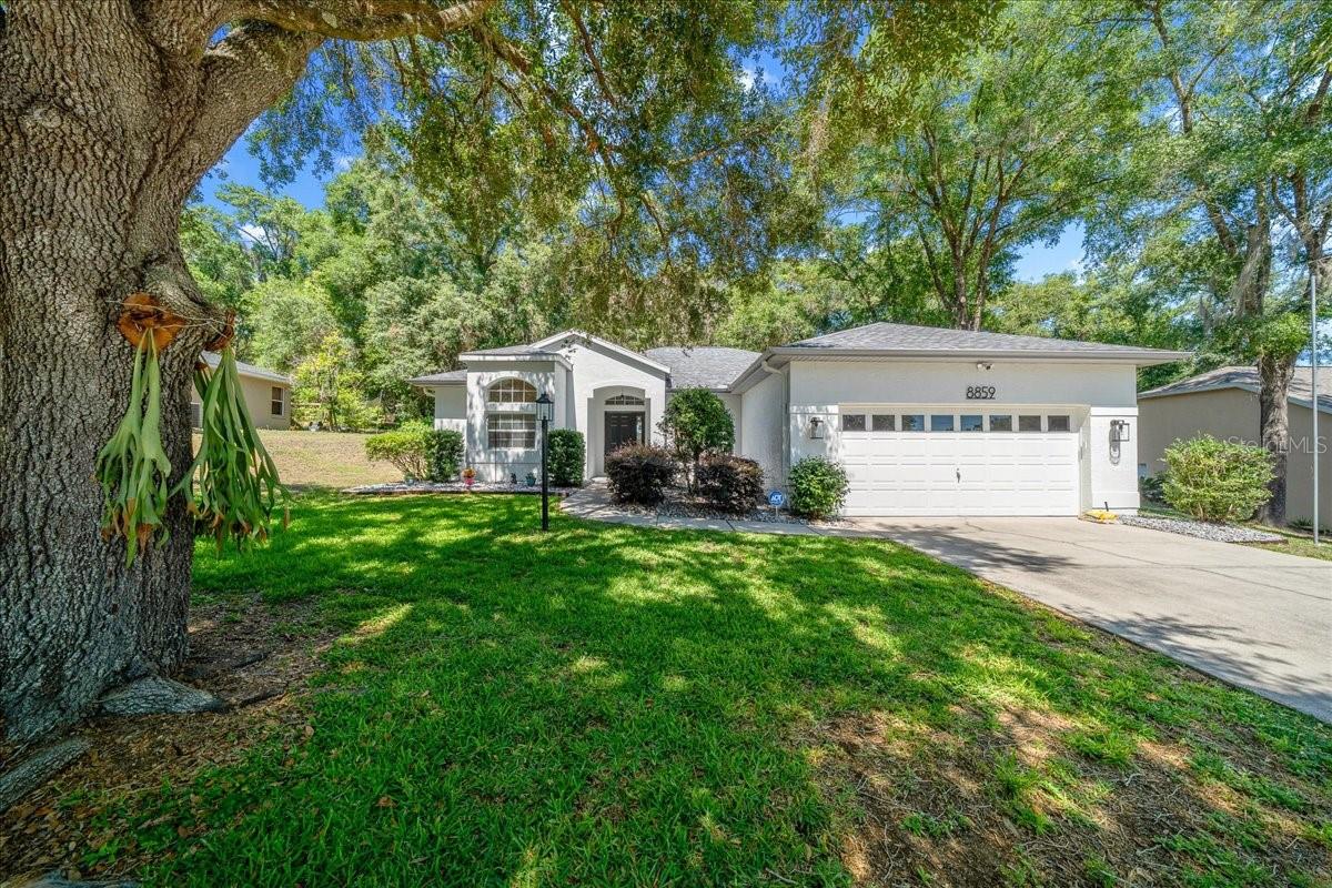 8859 SW 196TH AVENUE RD, DUNNELLON, FL
