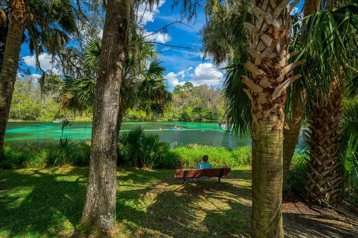 8859 SW 196TH AVENUE RD, DUNNELLON, FL — photo 49