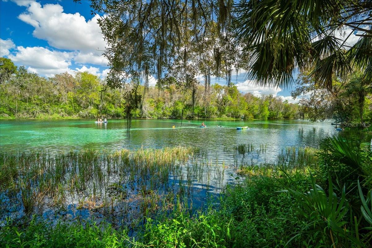 8859 SW 196TH AVENUE RD, DUNNELLON, FL — photo 50