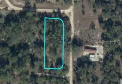 NE 134TH TERRACE, BRONSON, FL