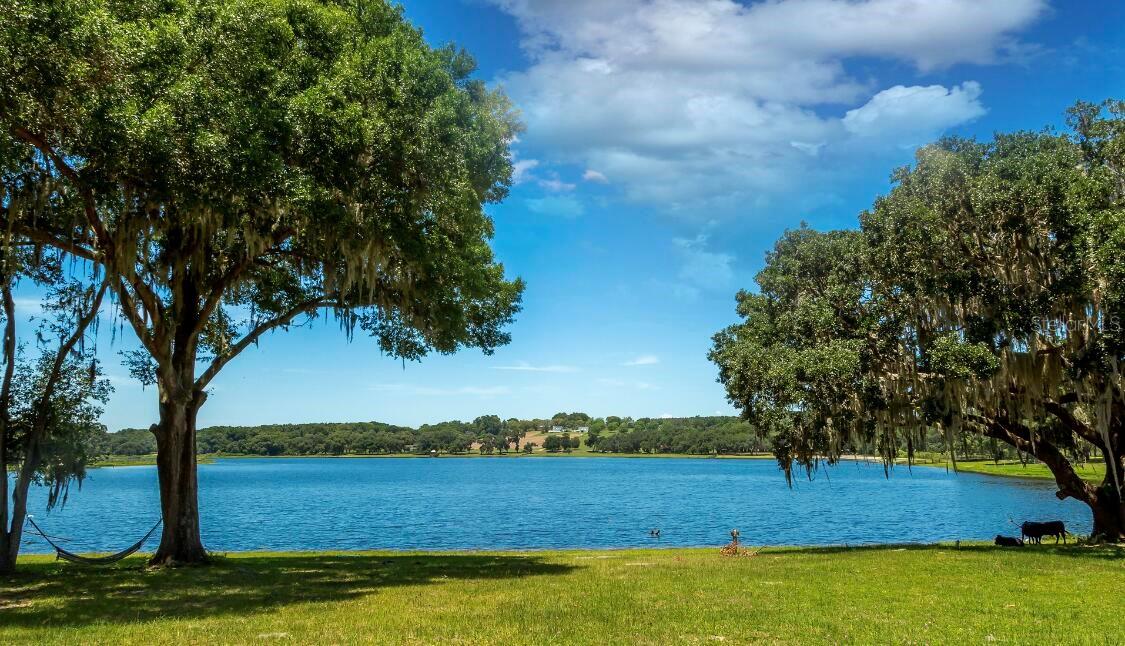 34710 CLAYTON RD #13, DADE CITY, FL — photo 2