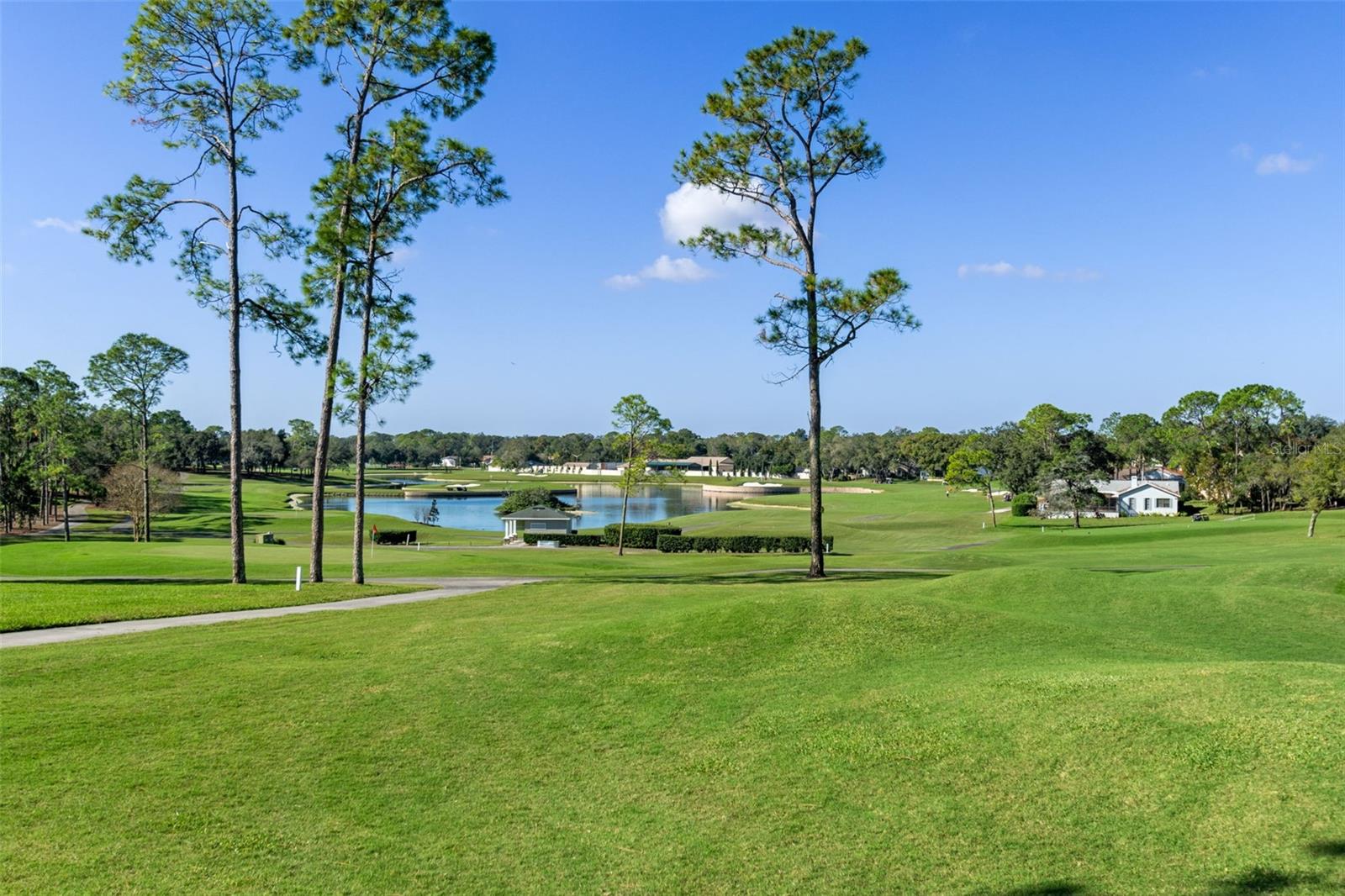 2643 ROYAL RIDGE DR, SPRING HILL, FL — photo 40