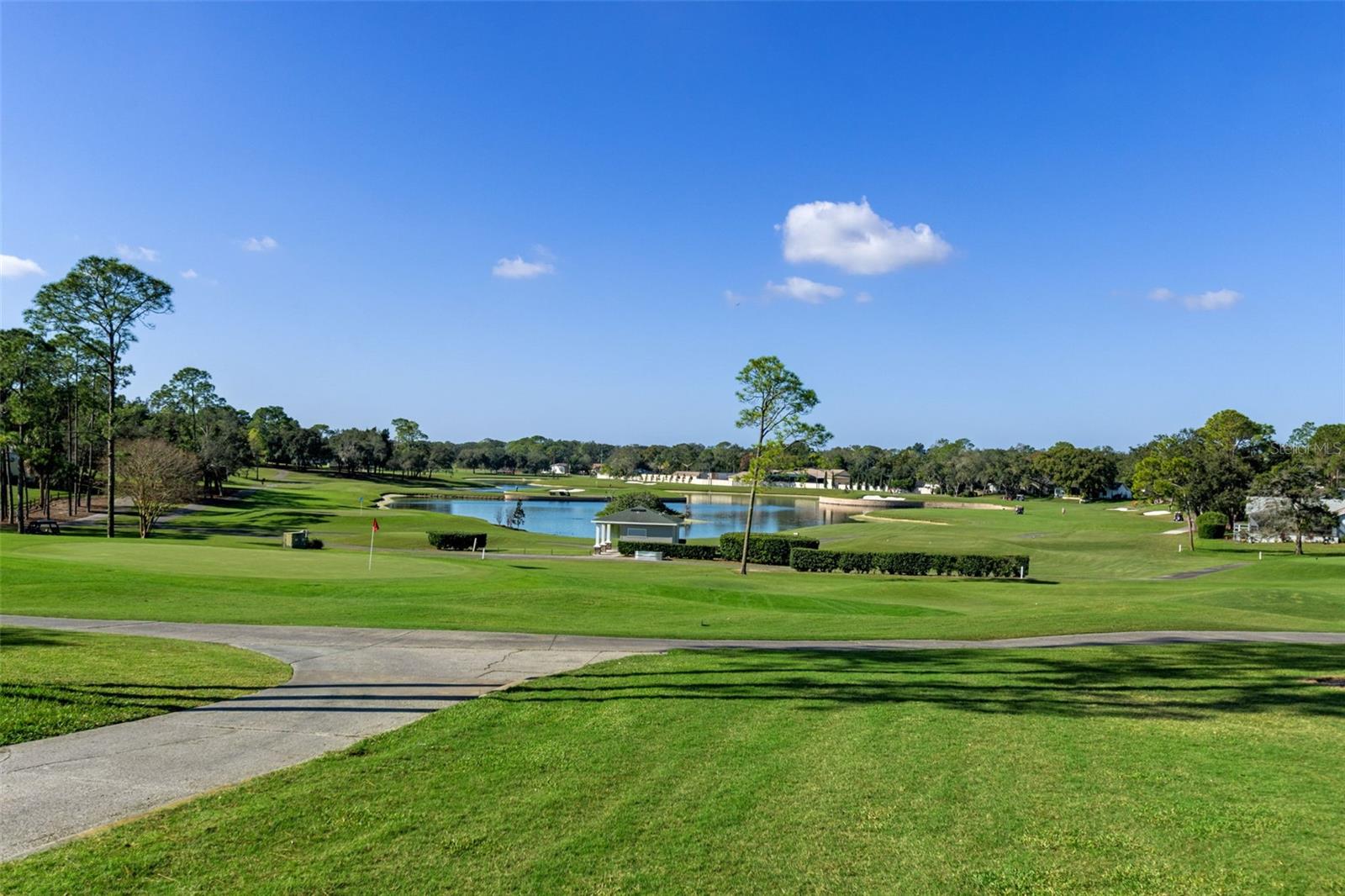 2643 ROYAL RIDGE DR, SPRING HILL, FL — photo 41