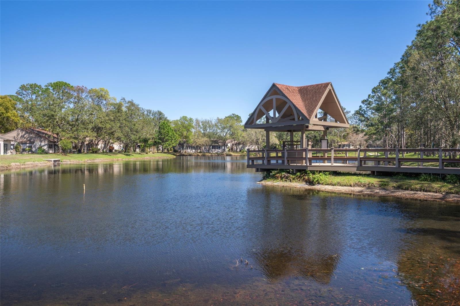 2643 ROYAL RIDGE DR, SPRING HILL, FL — photo 52