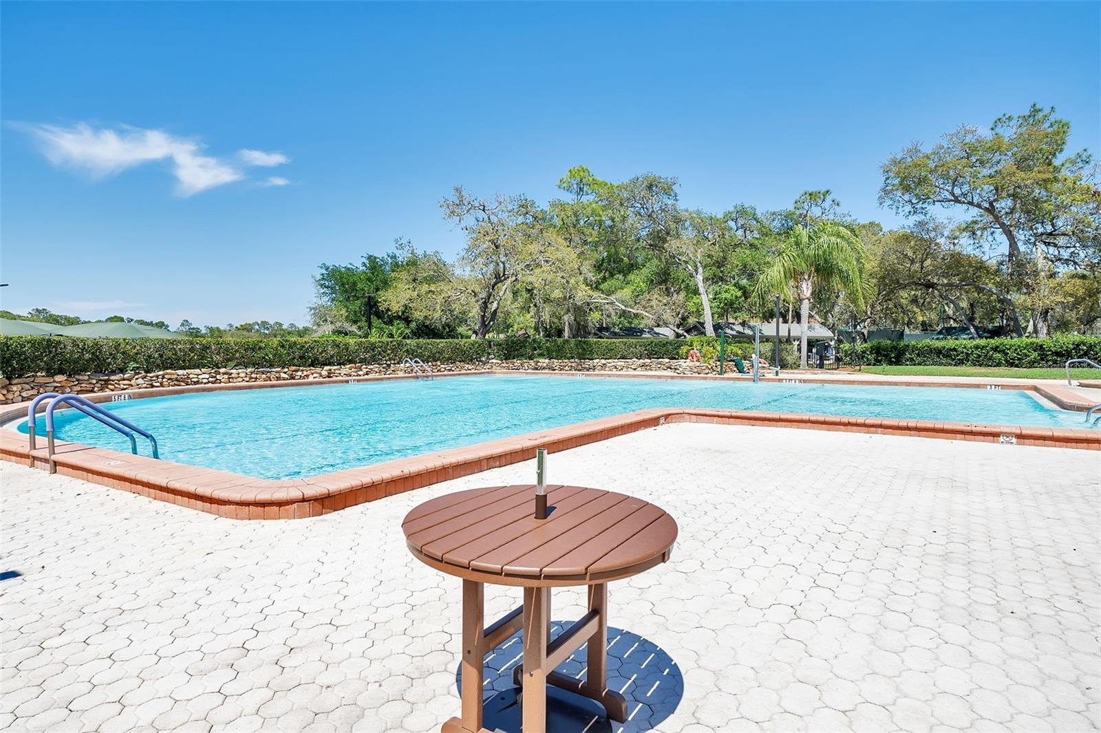 2643 ROYAL RIDGE DR, SPRING HILL, FL — photo 63