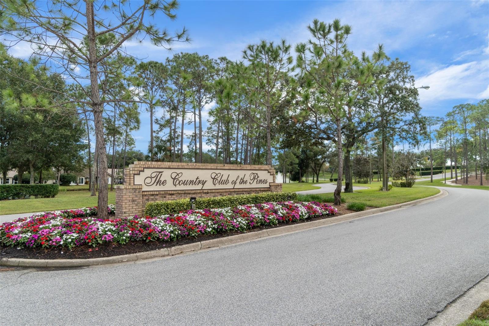 2643 ROYAL RIDGE DR, SPRING HILL, FL — photo 73