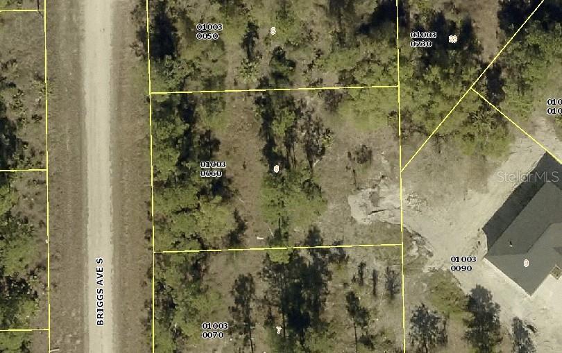 315 BRIGGS AVE S, LEHIGH ACRES, FL
