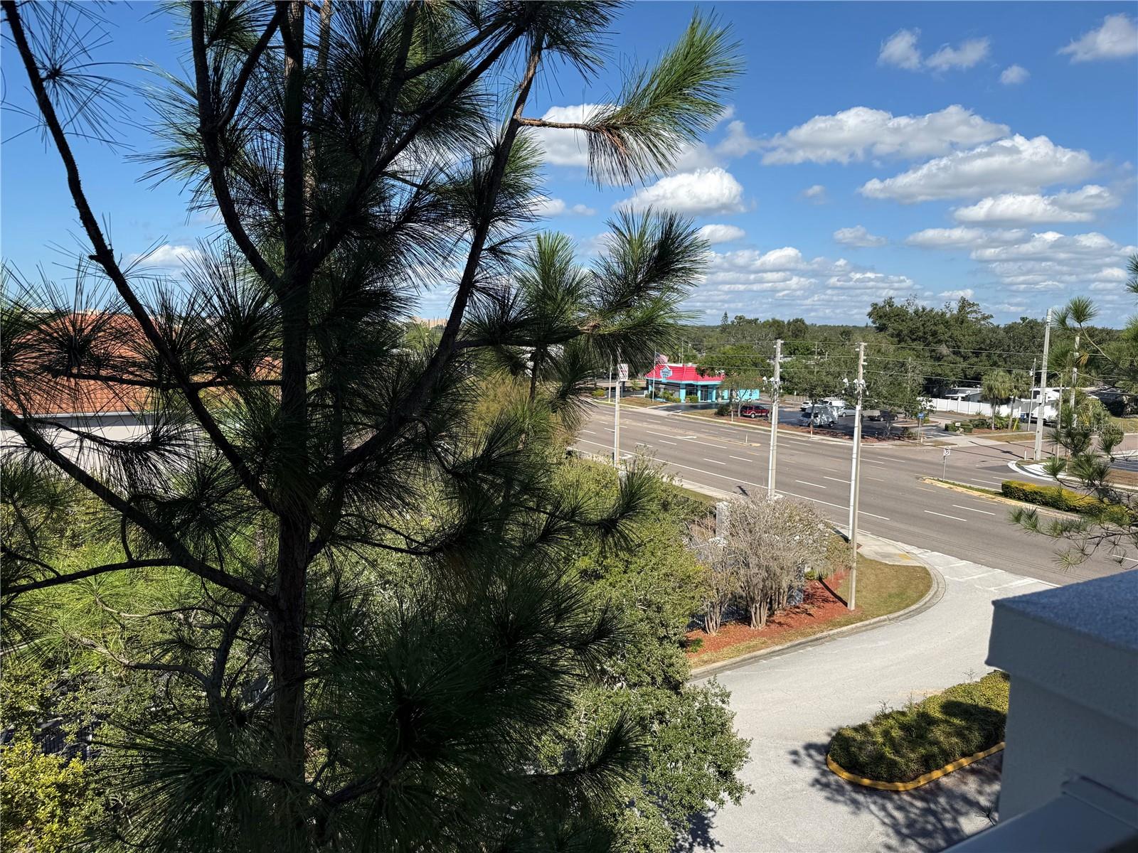 1216 S MISSOURI AVE #406, CLEARWATER, FL — photo 9
