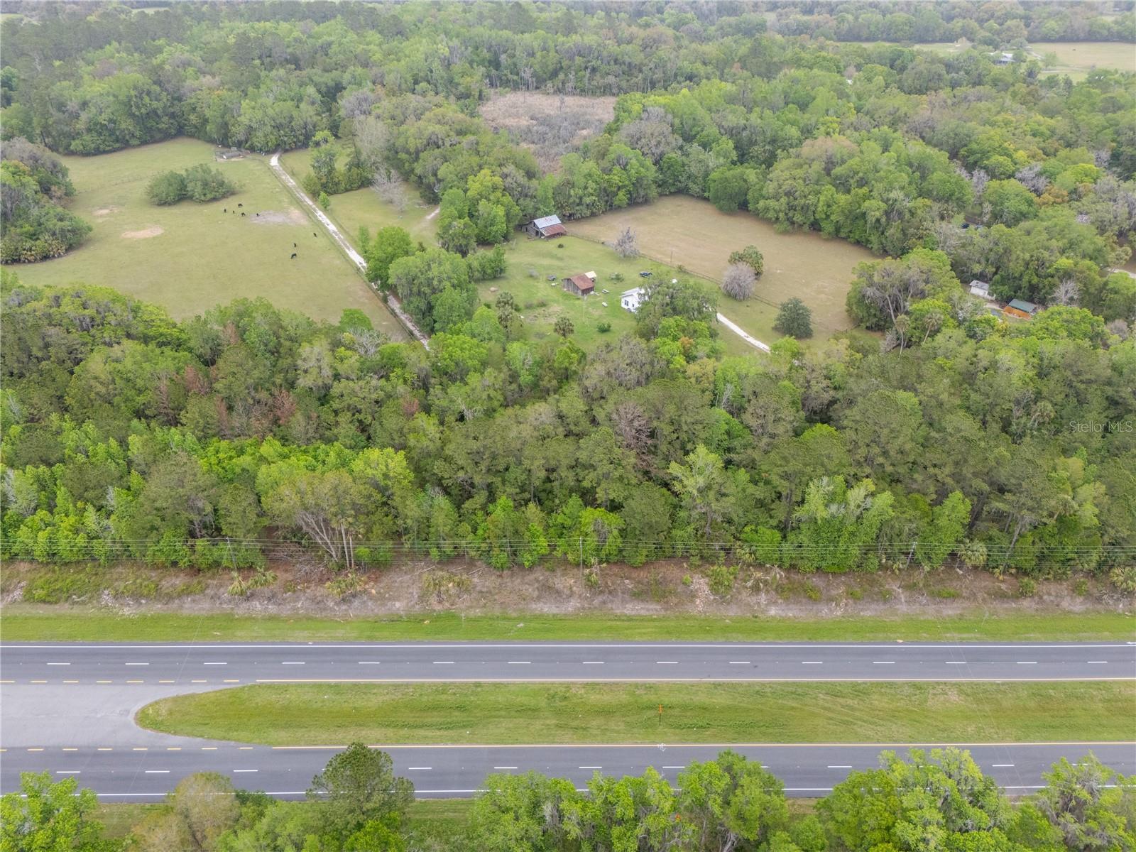 17819 SR-25, MICANOPY, FL — photo 3