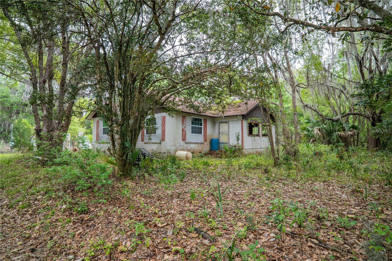 17819 SR-25, MICANOPY, FL — photo 7