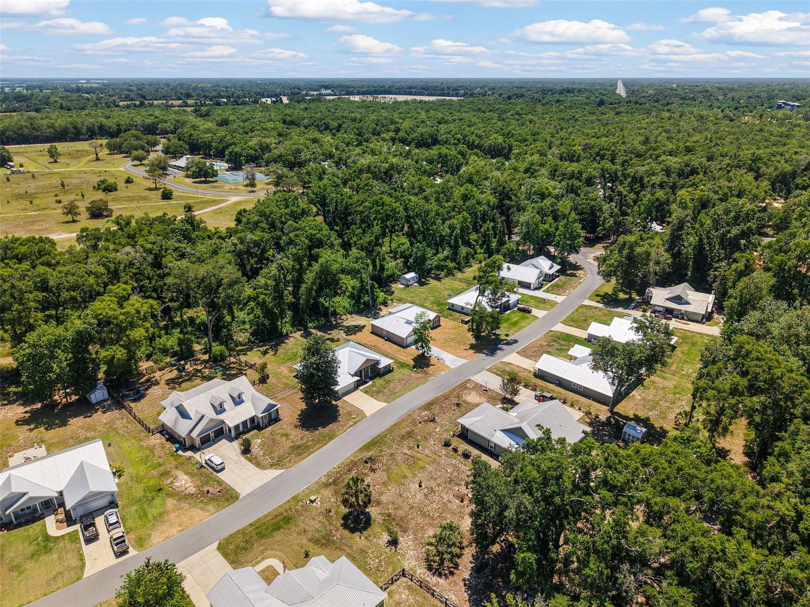 9100 DORIE DR, TRENTON, FL — photo 82