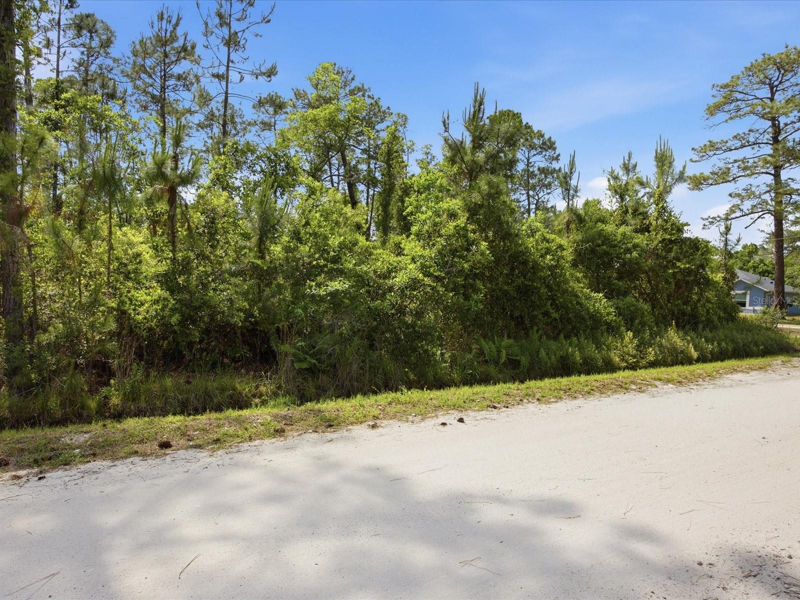 1490 10TH AVE, DELAND, FL — photo 6