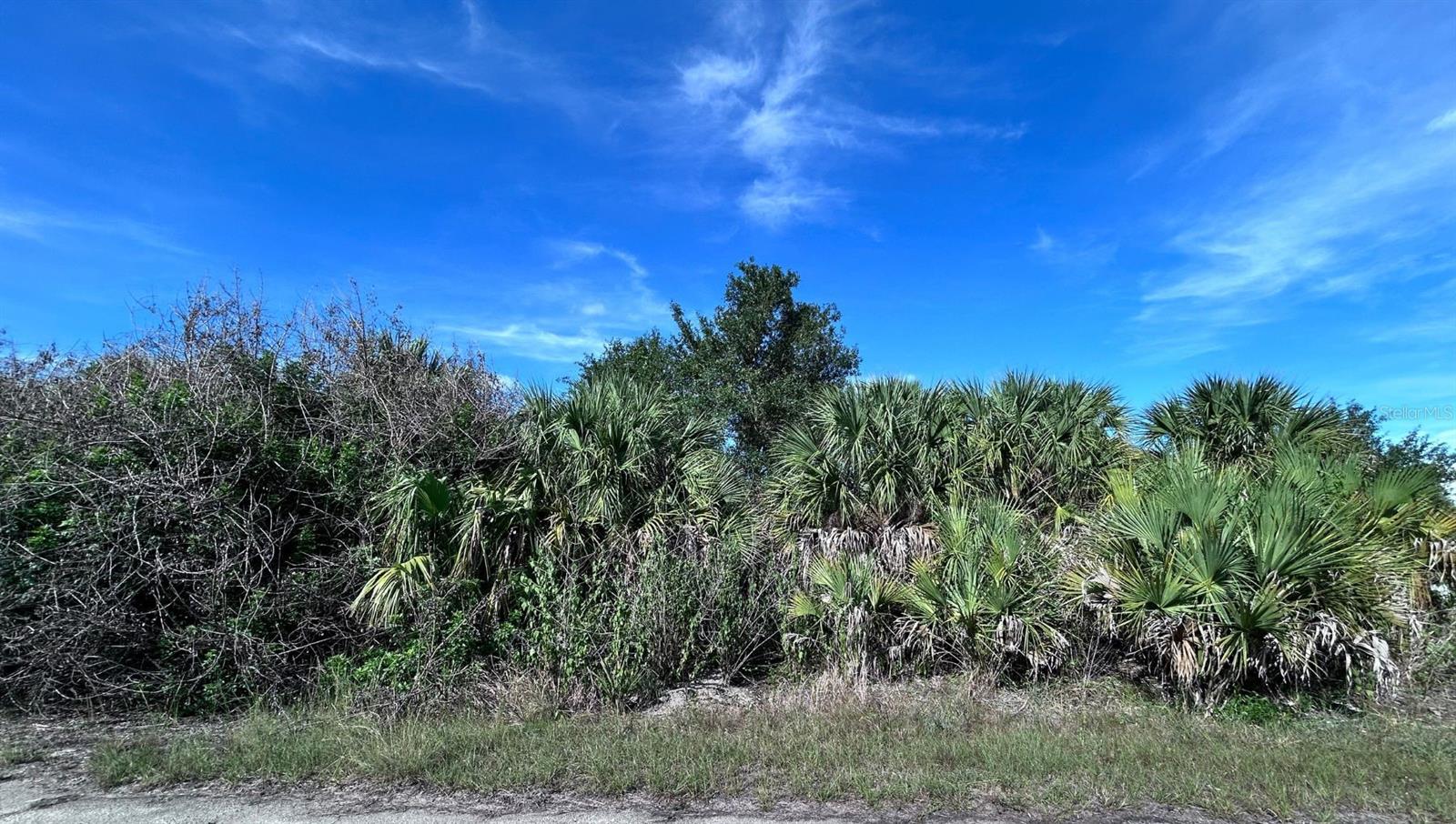 BIGFLOWER AVE, NORTH PORT, FL