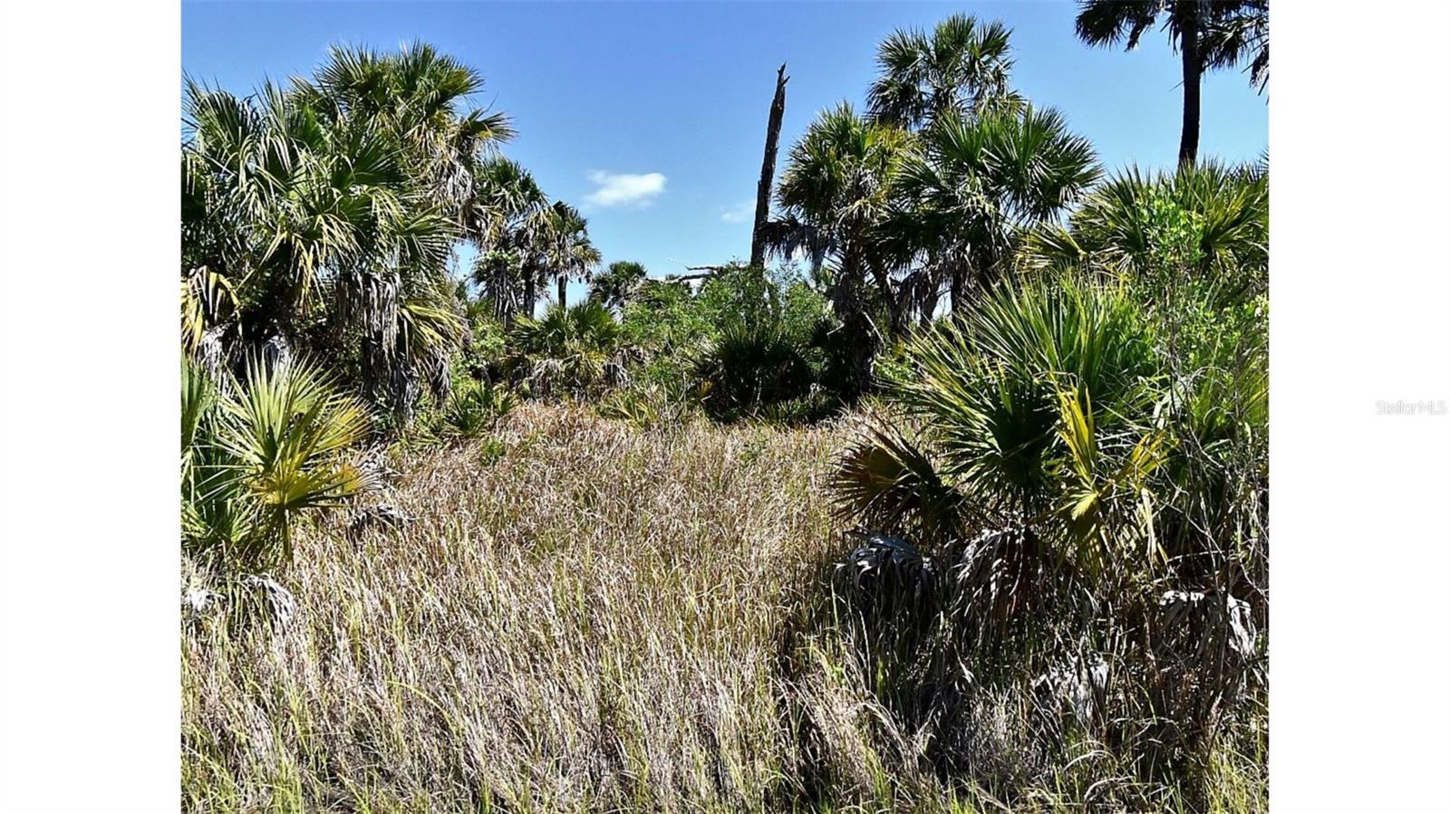 CRIMSONGLORY RD, NORTH PORT, FL — photo 4