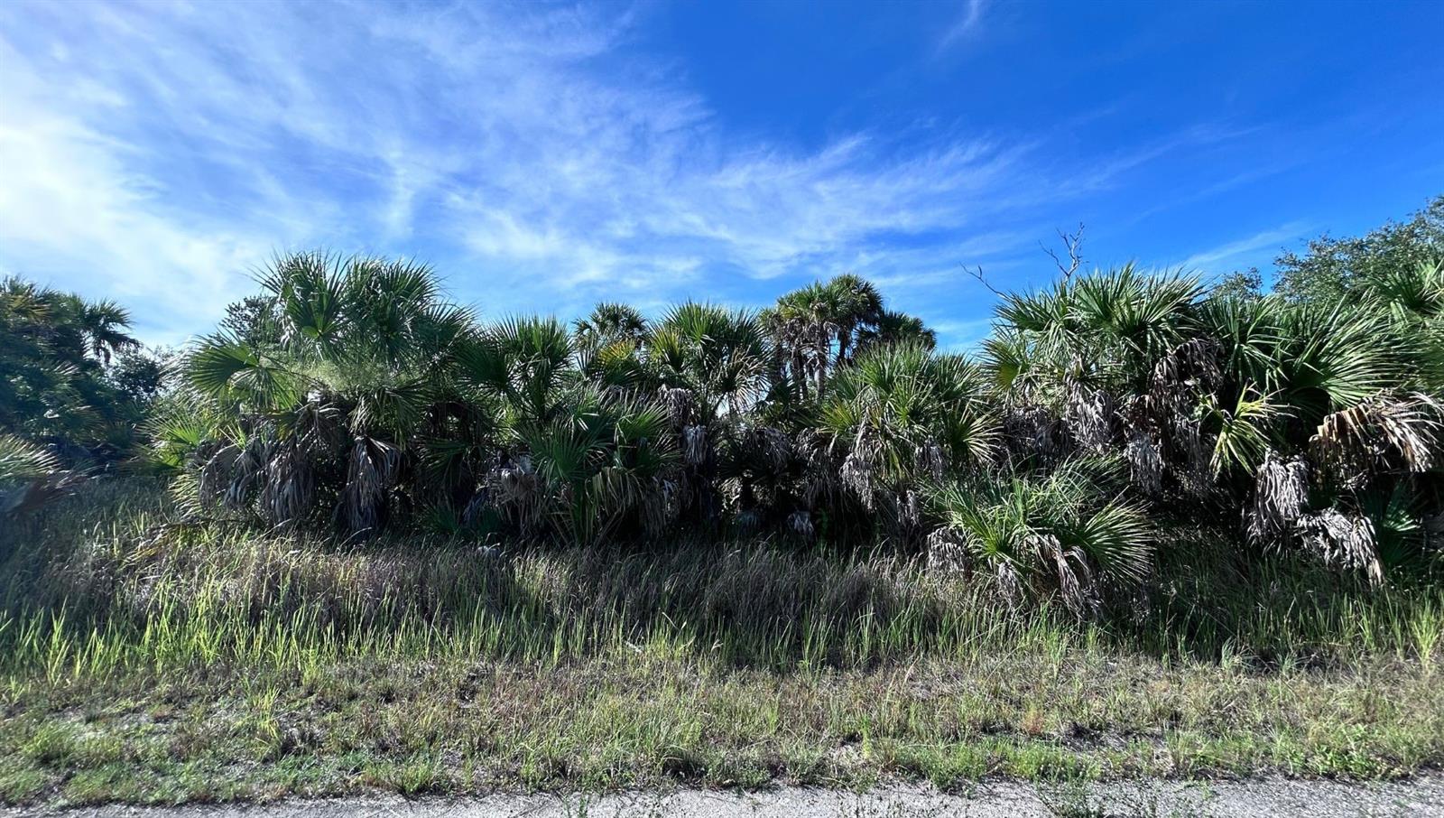 CRIMSONGLORY RD, NORTH PORT, FL