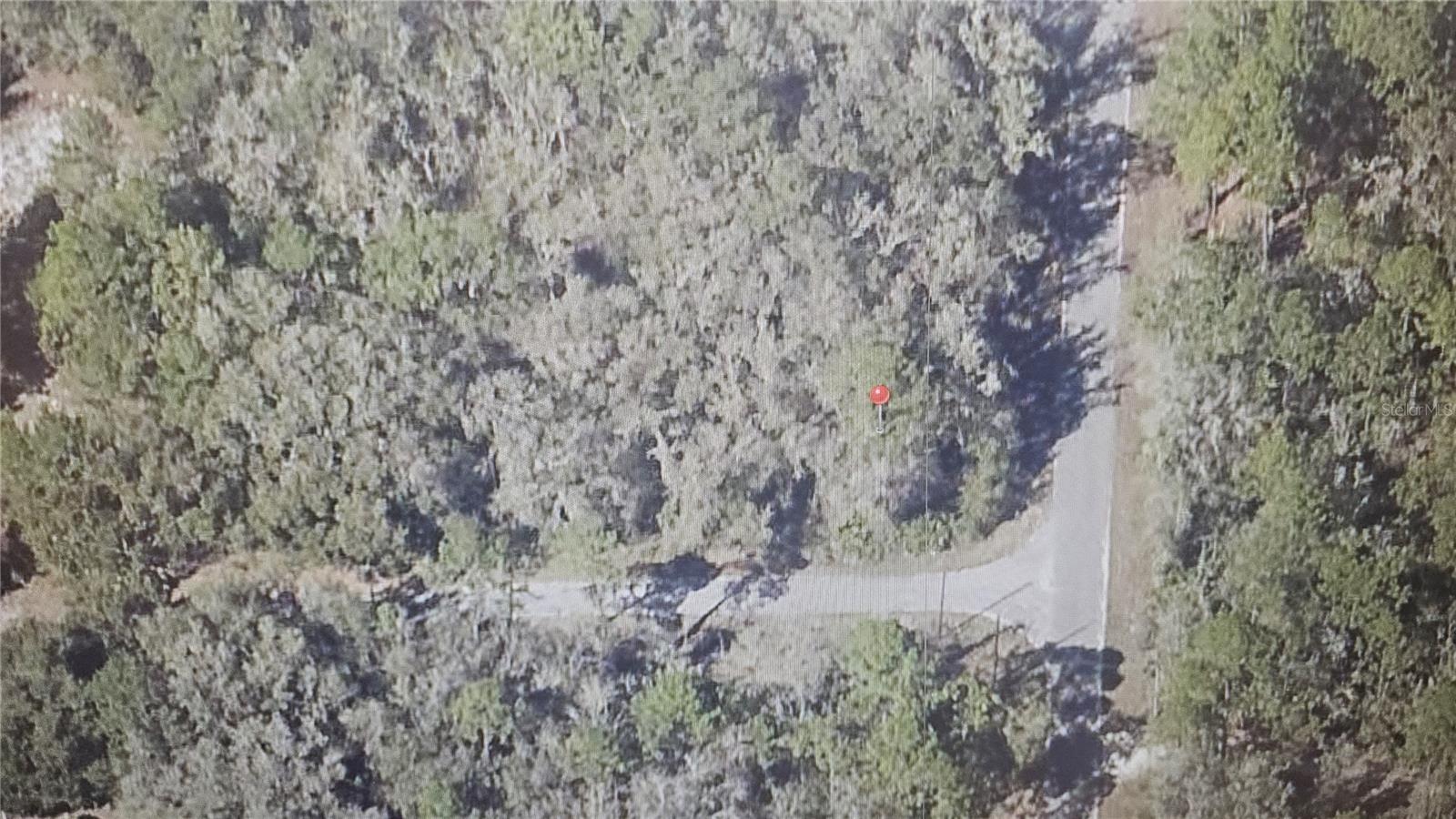 SEQUOIA DR, OCKLAWAHA, FL — photo 4