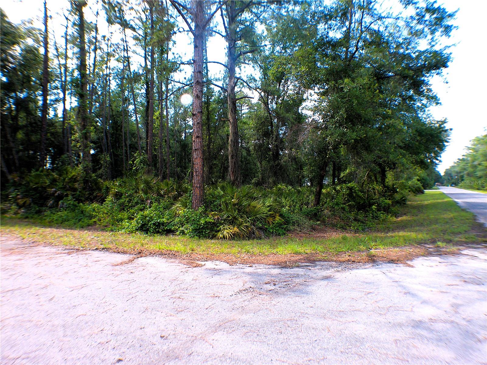 SEQUOIA DR, OCKLAWAHA, FL