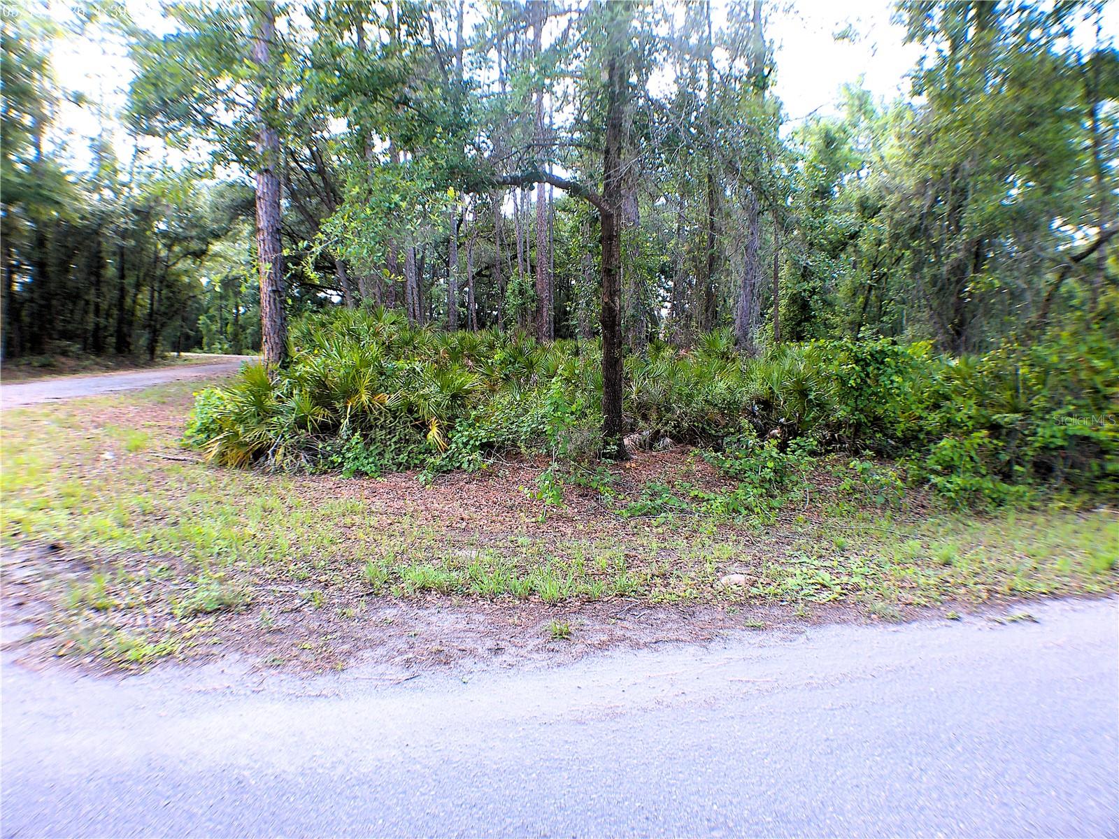 SEQUOIA DR, OCKLAWAHA, FL — photo 2