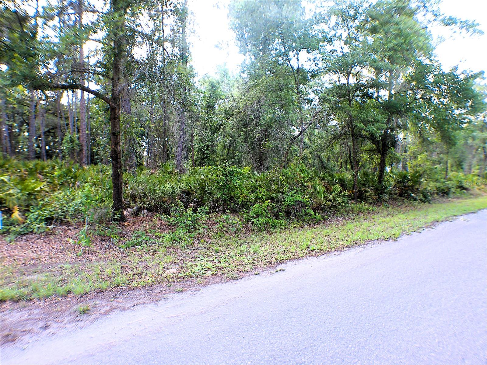SEQUOIA DR, OCKLAWAHA, FL — photo 3