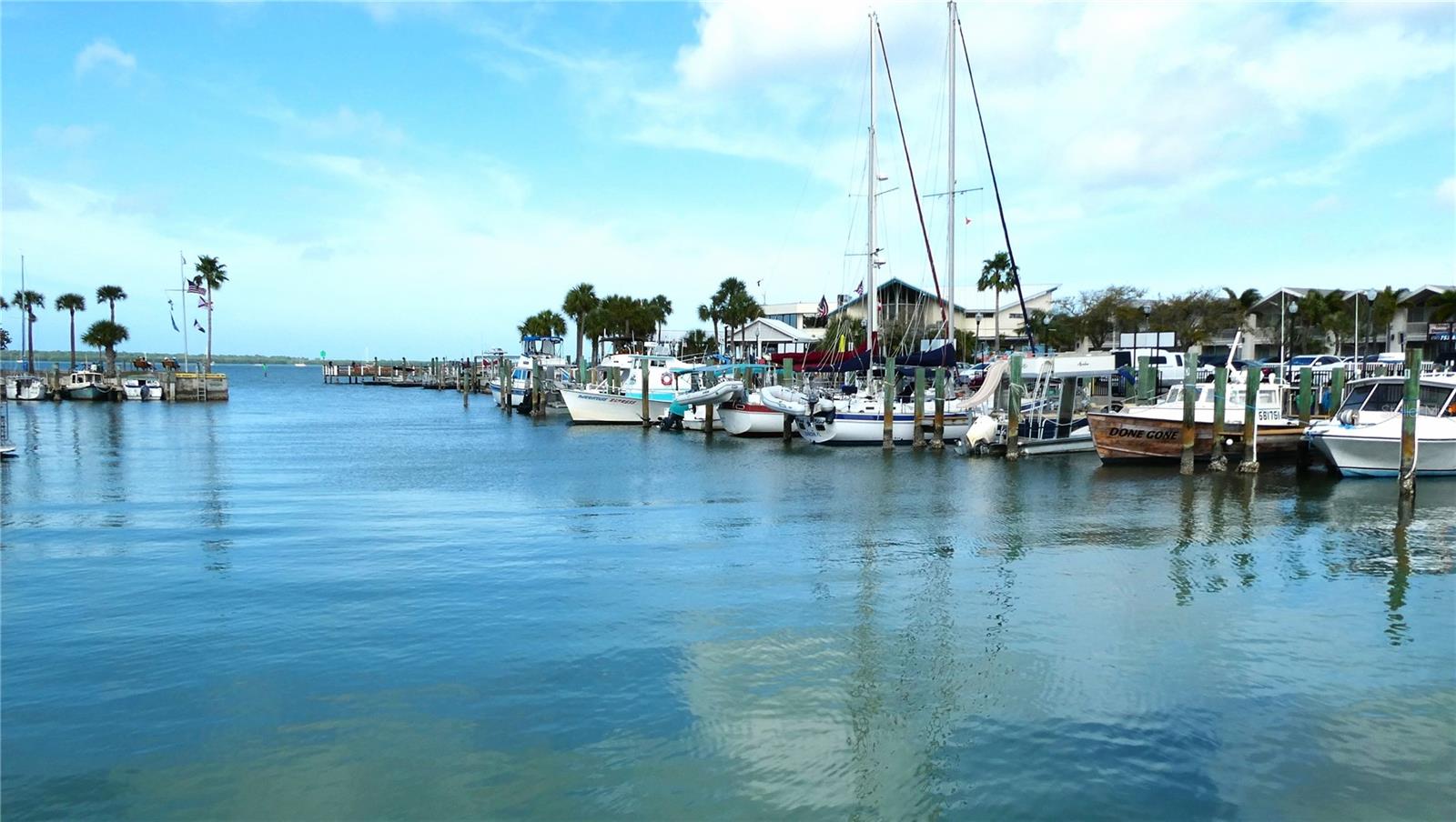 885 BELTREES ST #12, DUNEDIN, FL — photo 14