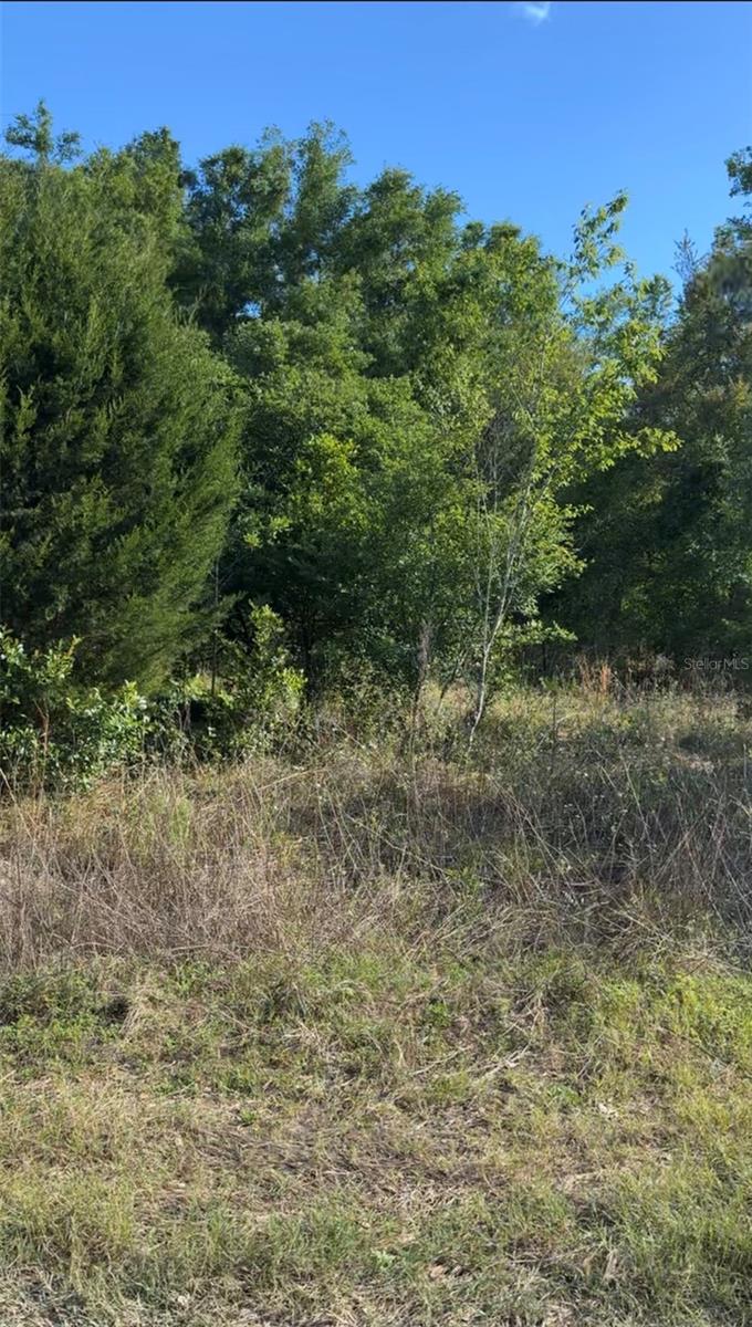 2405 WILSON ST ST, INVERNESS, FL — photo 2