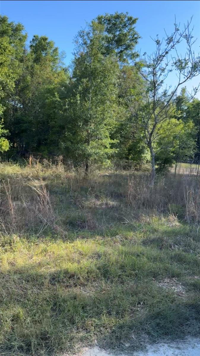 2405 WILSON ST ST, INVERNESS, FL — photo 3