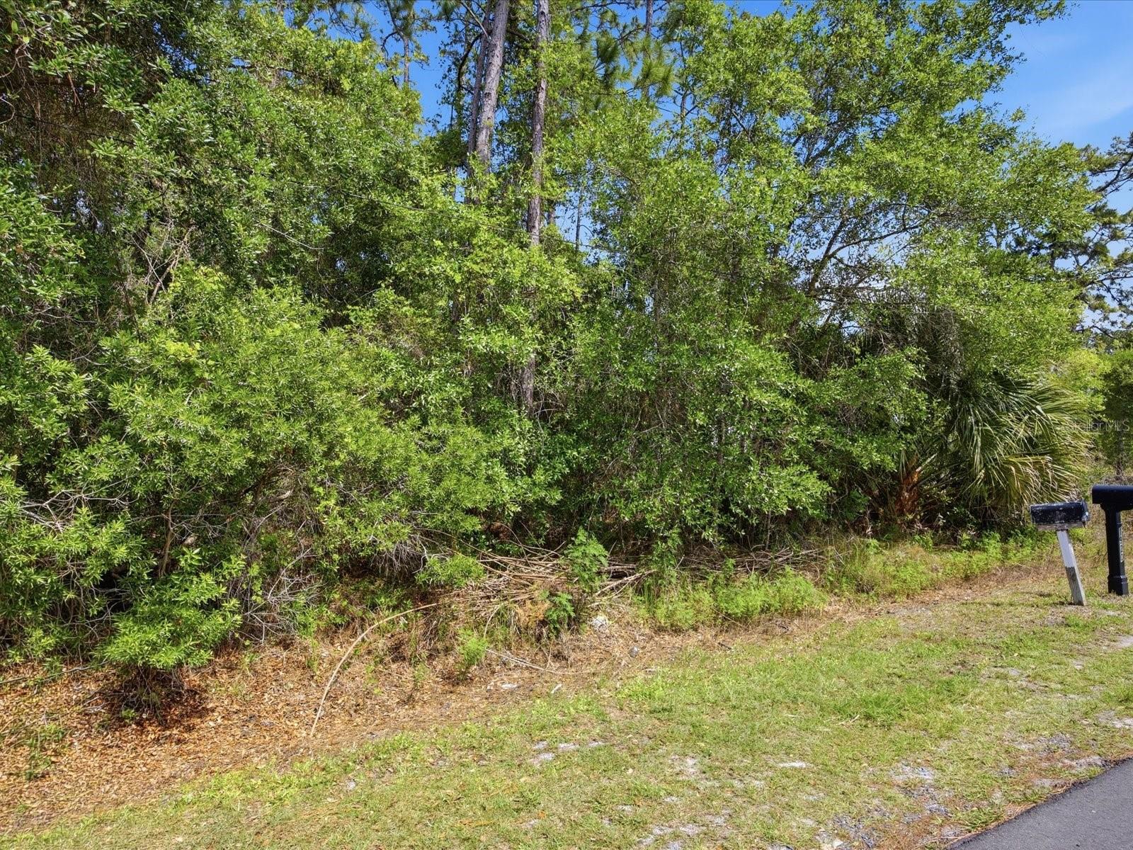 1935 7TH AVE, DELAND, FL — photo 6