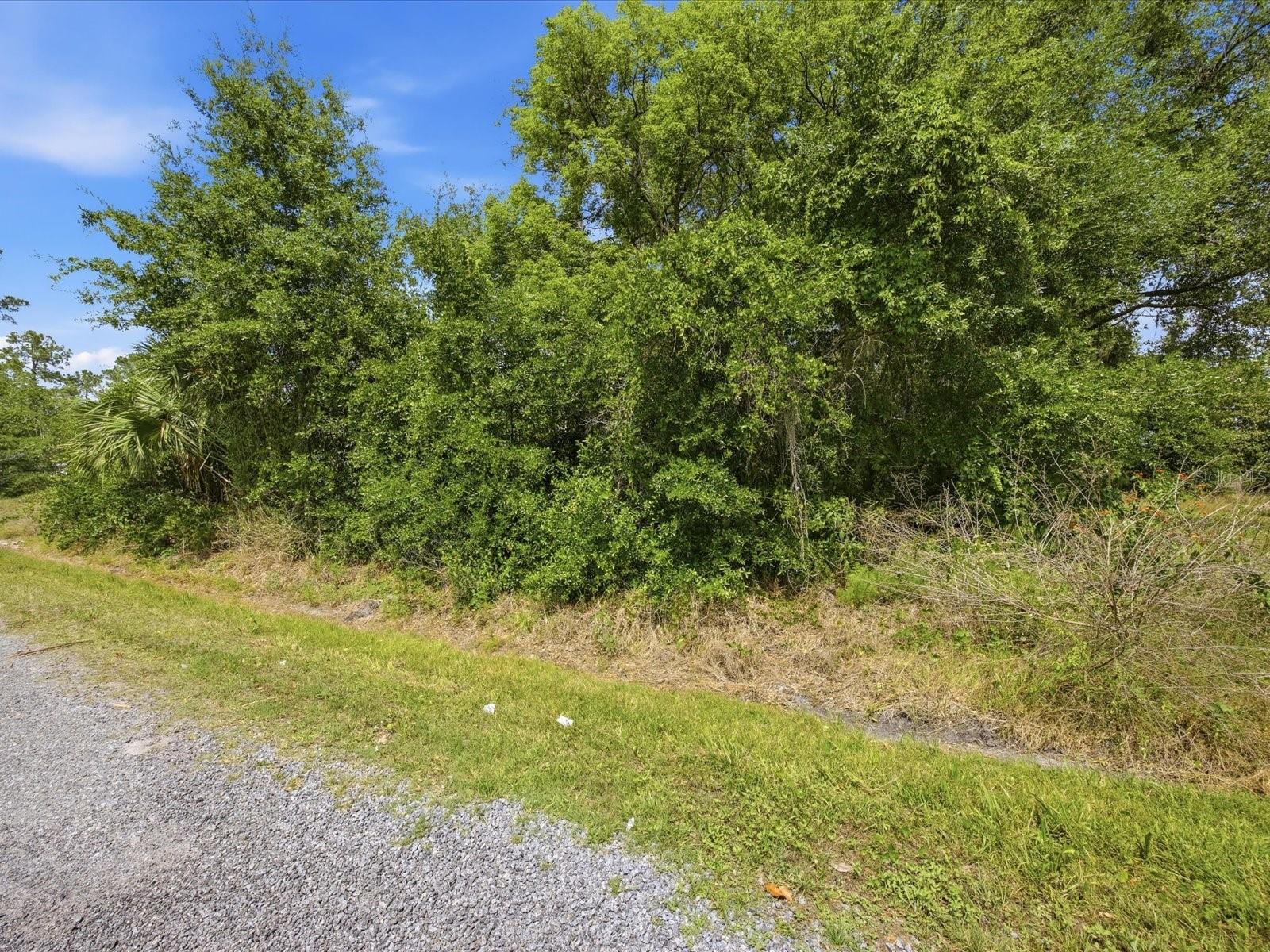 2155 5TH AVE, DELAND, FL — photo 6