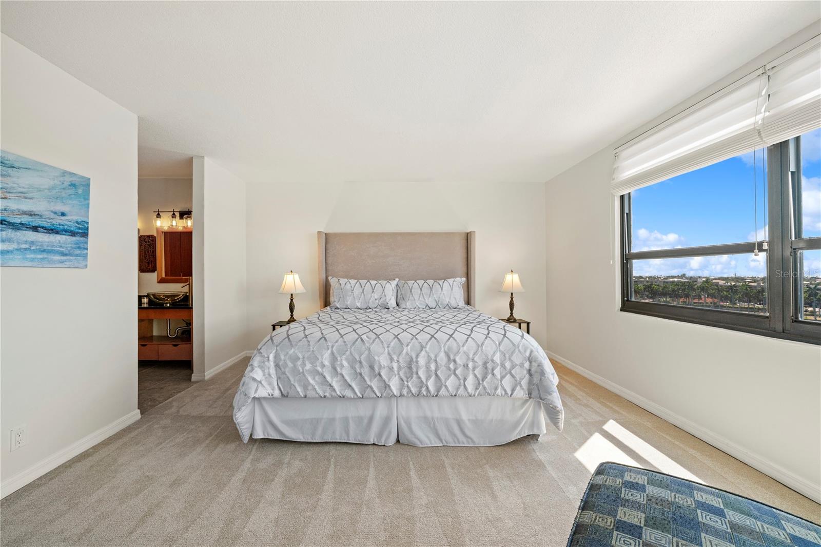 6294 BAHIA DEL MAR CIR #904, ST PETERSBURG, FL — photo 8
