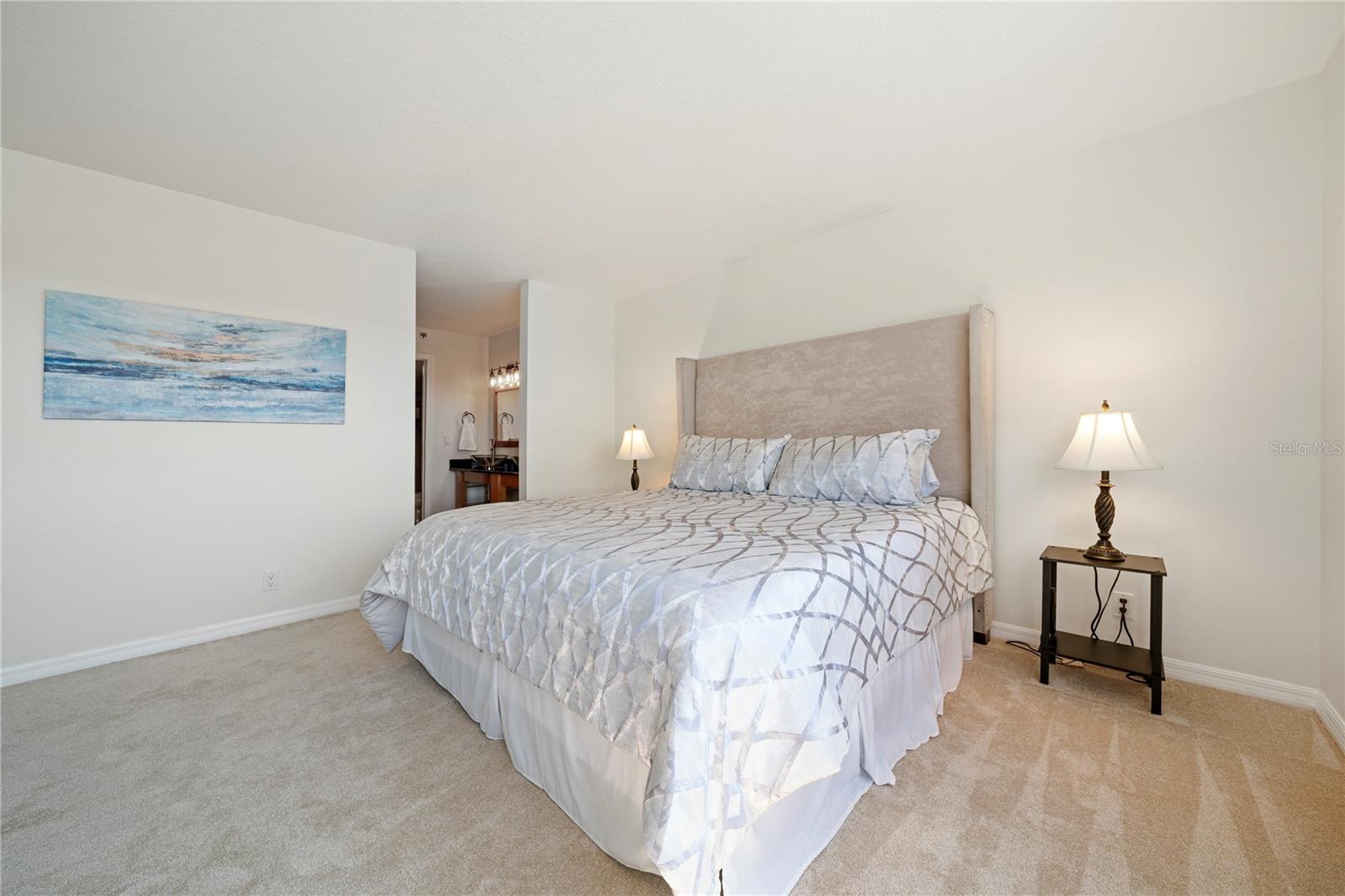6294 BAHIA DEL MAR CIR #904, ST PETERSBURG, FL — photo 9