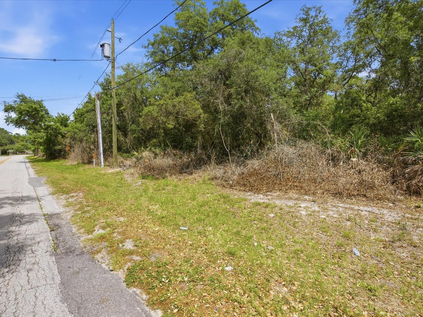 W LAKE DR, DELAND, FL — photo 5