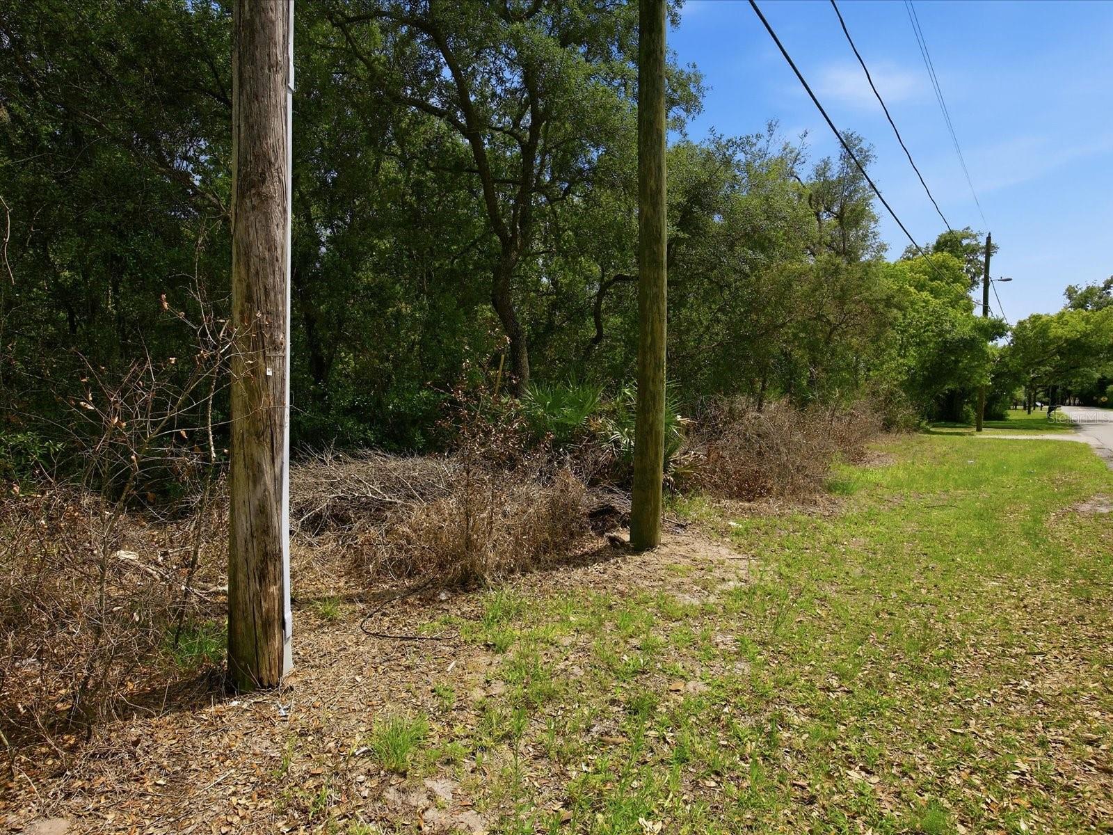 W LAKE DR, DELAND, FL — photo 6
