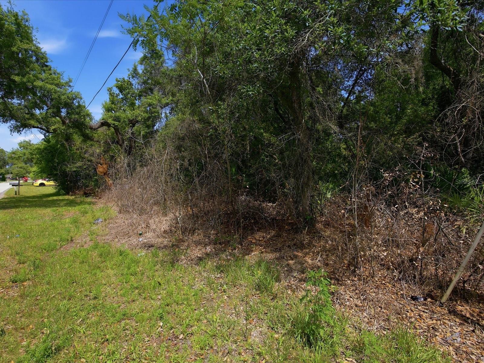 W LAKE DR, DELAND, FL — photo 5