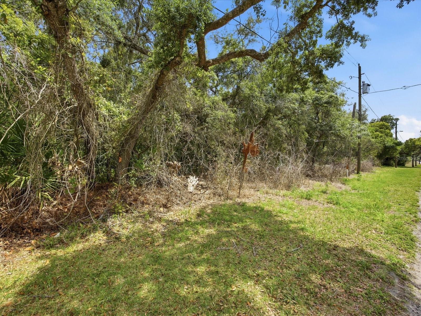 W LAKE DR, DELAND, FL — photo 6