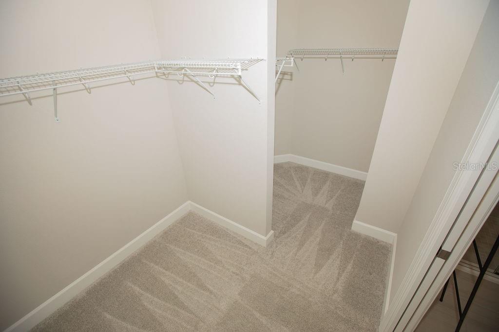 4605 ROSATTI RD, WESLEY CHAPEL, FL — photo 9