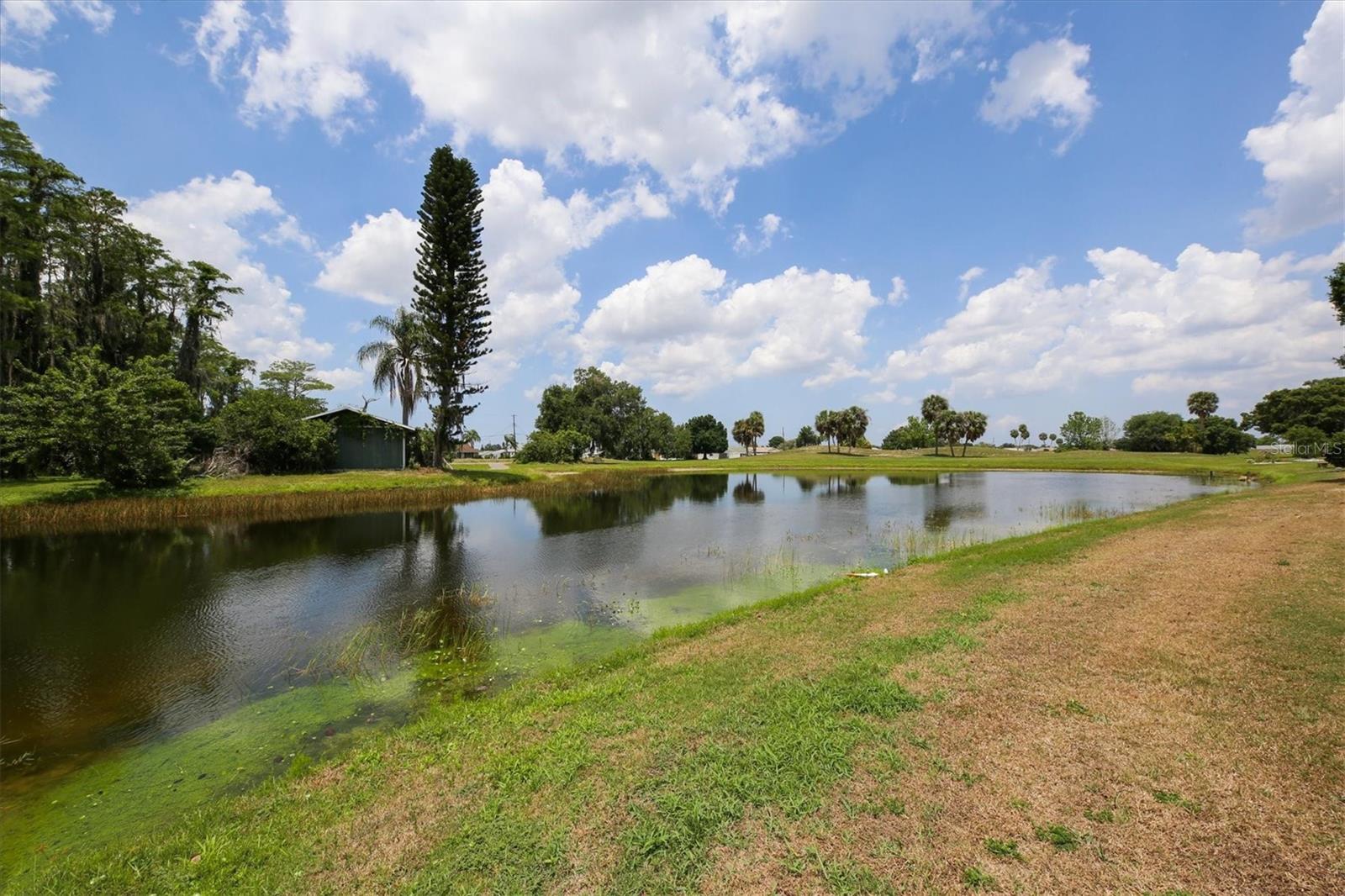 1834 E DEL WEBB BLVD, SUN CITY CENTER, FL — photo 67