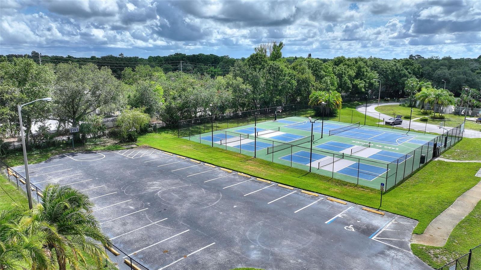 3906 BLOOMING HILL LN, PALM HARBOR, FL — photo 41