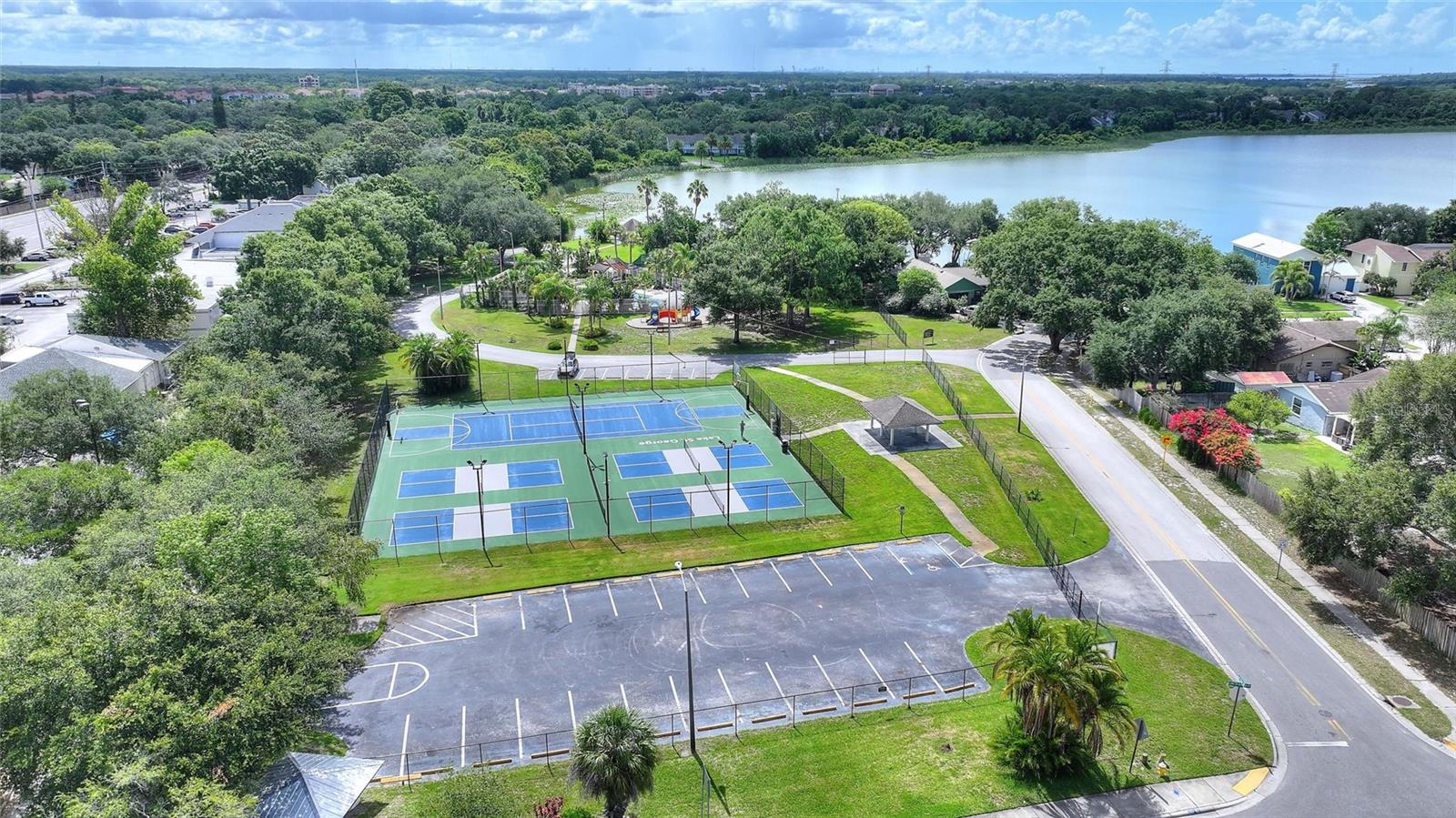 3906 BLOOMING HILL LN, PALM HARBOR, FL — photo 48