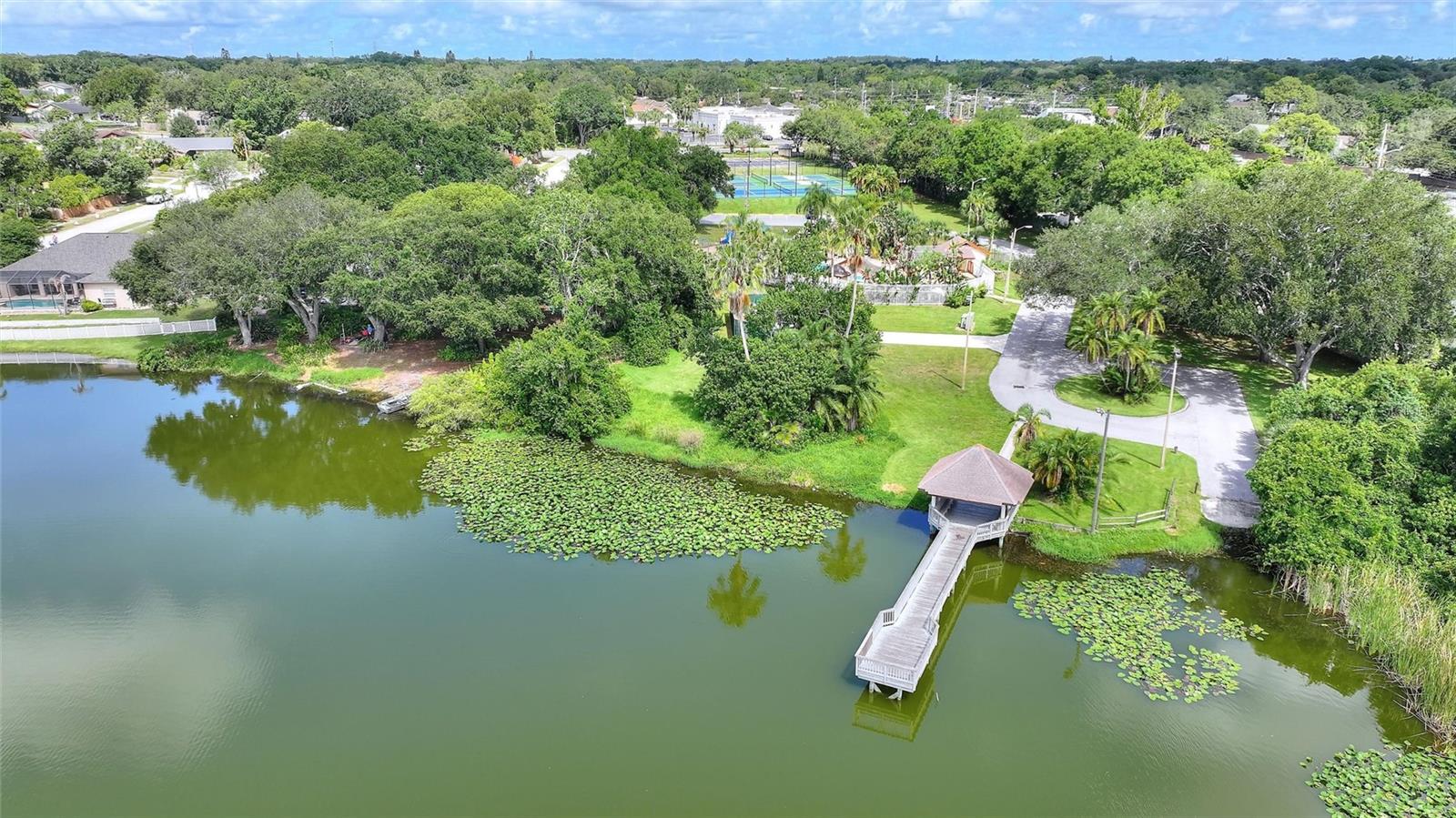 3906 BLOOMING HILL LN, PALM HARBOR, FL — photo 49