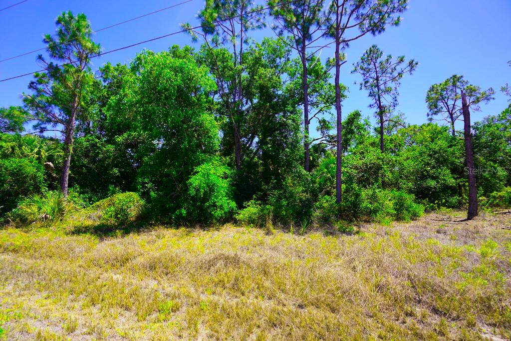 15531 FACTORY AVE, PORT CHARLOTTE, FL — photo 16