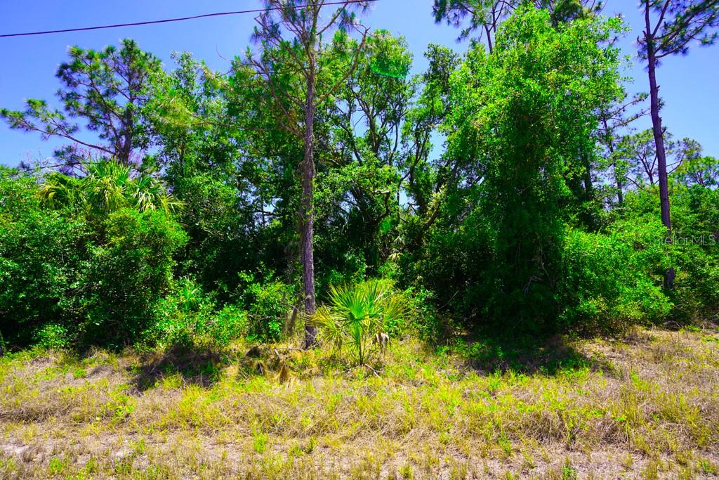 15531 FACTORY AVE, PORT CHARLOTTE, FL — photo 17