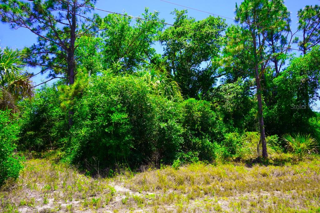 15531 FACTORY AVE, PORT CHARLOTTE, FL — photo 19