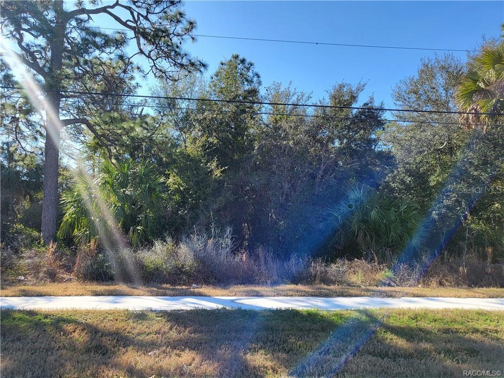 1224 S SUNCOAST BLVD, HOMOSASSA, FL