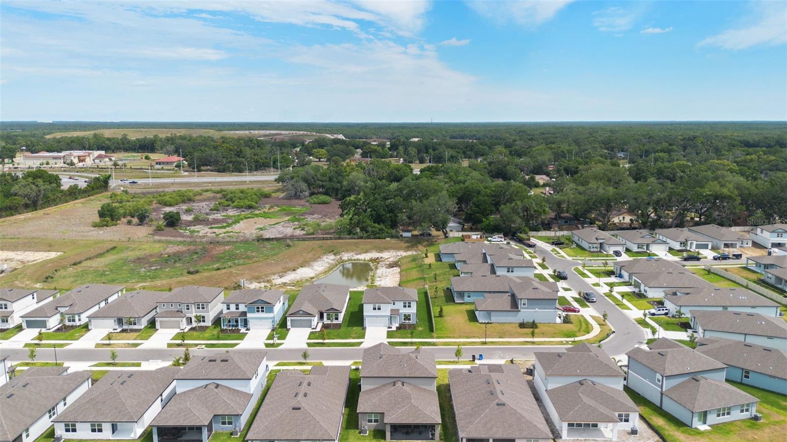 11234 SYCAMORE GLEN LOOP, THONOTOSASSA, FL — photo 46